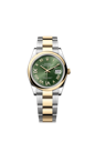 126203 ダイヤモンド入りオリーブグリーン