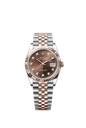 Datejust Ref. 126231 Diamond-set Chocolate