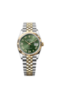 126233 ダイヤモンド入りオリーブグリーン