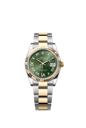 126233 ダイヤモンド入りオリーブグリーン