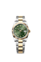 126233 オリーブグリーン