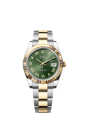 126333 オリーブグリーン