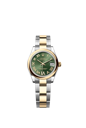278243 ダイヤモンド入りオリーブグリーン