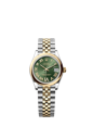 278243 ダイヤモンド入りオリーブグリーン