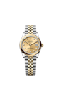 278243 ダイヤモンド入りシャンパンカラー