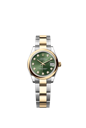 278243 ダイヤモンド入りオリーブグリーン