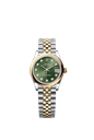 278243 ダイヤモンド入りオリーブグリーン