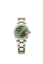 278383RBR ダイヤモンド入りオリーブグリーン