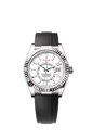 Sky-Dweller Ref. 336239 Intense White